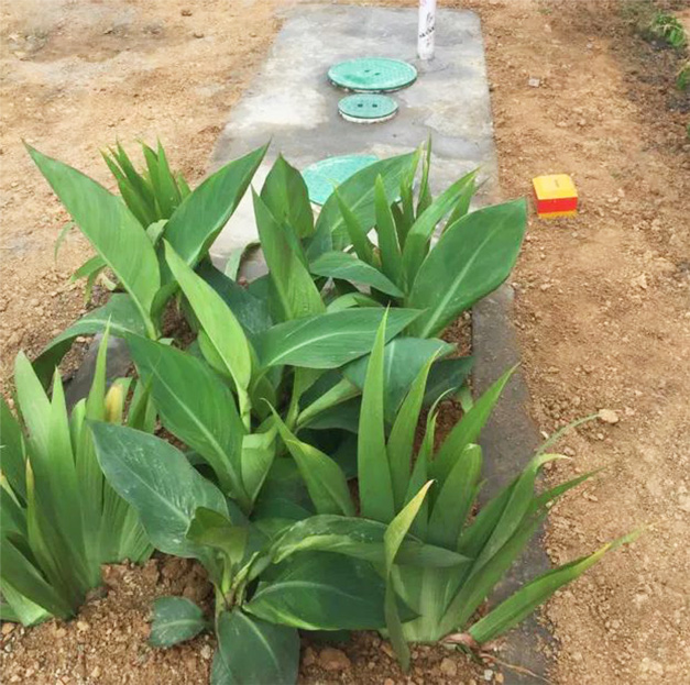 庄闲游戏·(中国游)官方网站