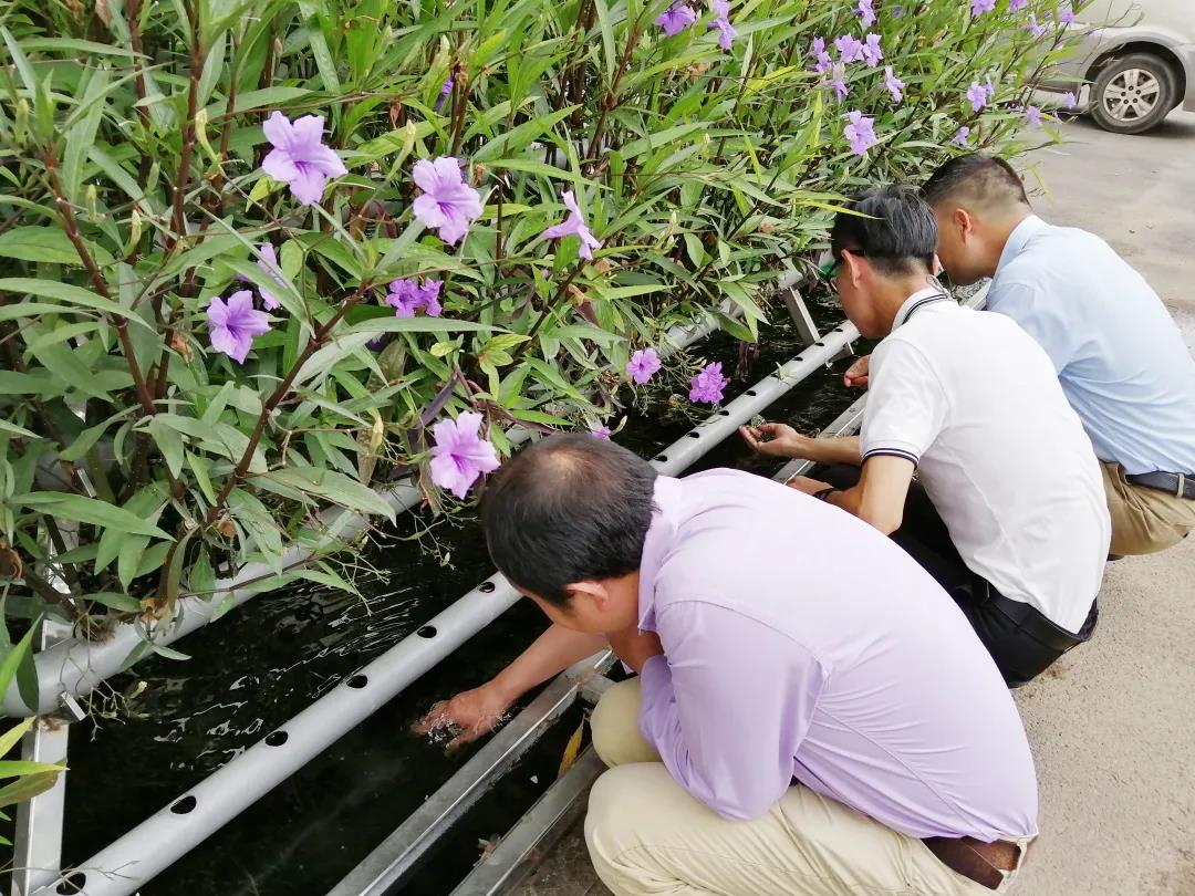 庄闲游戏泳池工程,庄闲游戏旅馆泳池工程