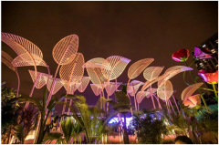 露天低氯游泳池，，，，，专属于你的心灵栖息地！