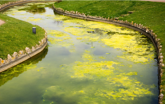 庄闲游戏·(中国游)官方网站