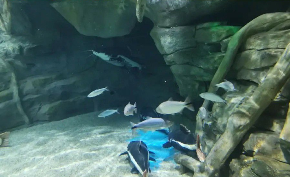 庄闲游戏·(中国游)官方网站