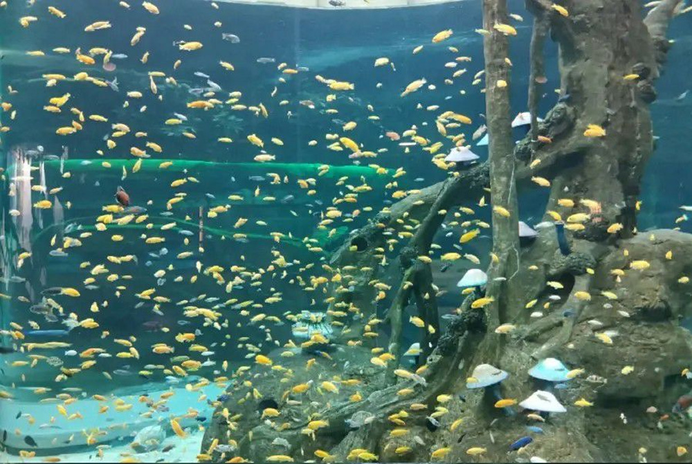 庄闲游戏·(中国游)官方网站