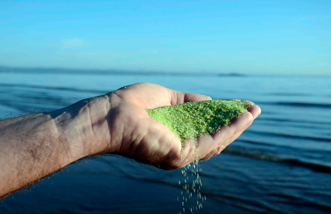 水处置惩罚药剂使游泳池水变得清洁的优势