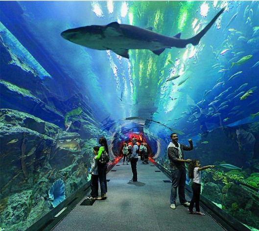 <b>海洋馆水质如那里置？？水处置惩罚系统是要害！</b>