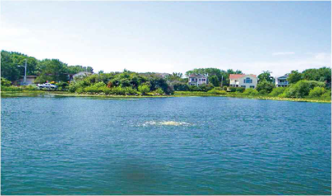 庄闲游戏·(中国游)官方网站