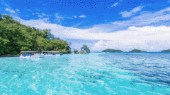 <b>是什么竟把“小而美”的泳池，，，，，酿成了辽阔无垠的汪洋大海？？？？？</b>