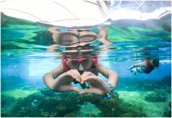 浮潜体验馆,浮潜馆,海内浮潜体验馆