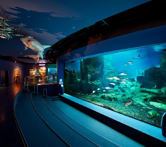 海洋馆设计，，海洋馆设计要点，，海洋馆设计公司