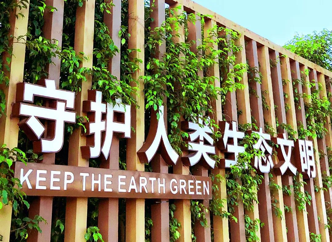 庄闲游戏董事长专访，，，庄闲游戏水处置惩罚手艺，，，庄闲游戏泳池装备