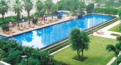 泳池水污浊怎么办？？？？？