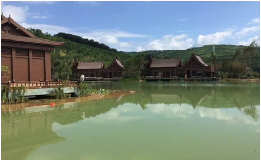 人工湖,人工湖治理,人工湖水处置惩罚