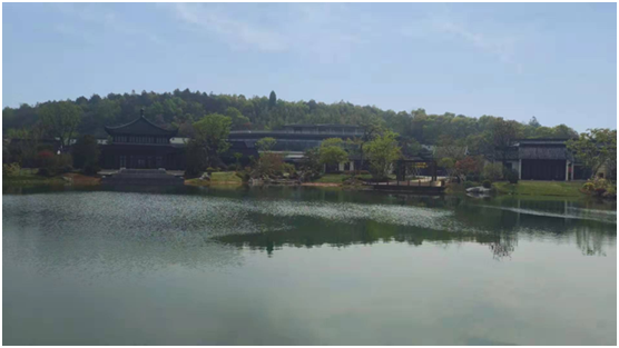 人工湖生态问题怎样治理？？？