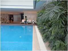 别墅建泳池或鱼池，，，，别纠结了，，，，先来看看两者的区别再决议！