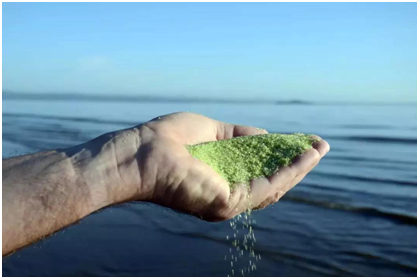 泳池水质处置惩罚,水处置惩罚