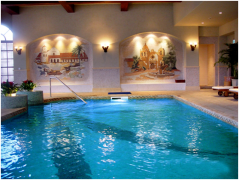 泳池水泵品牌哪家好，，，，，怎样选型？？？？