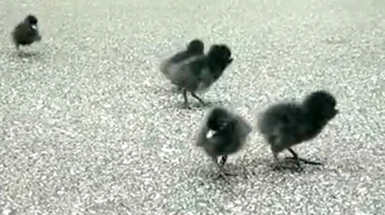 庄闲游戏·(中国游)官方网站