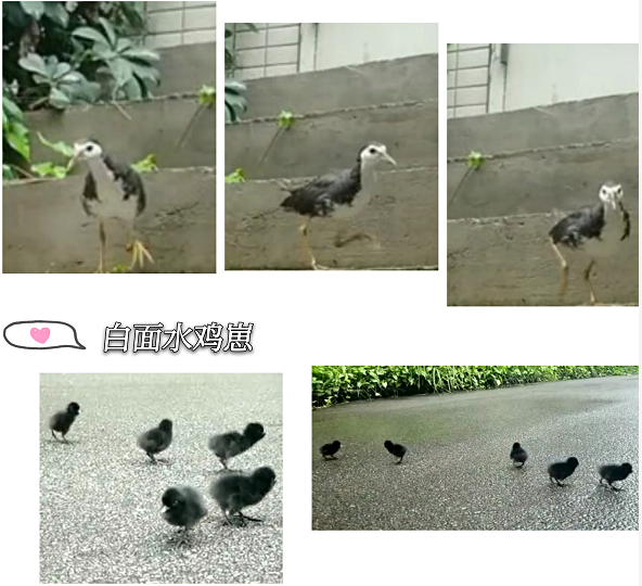 庄闲游戏科技园区事实有多