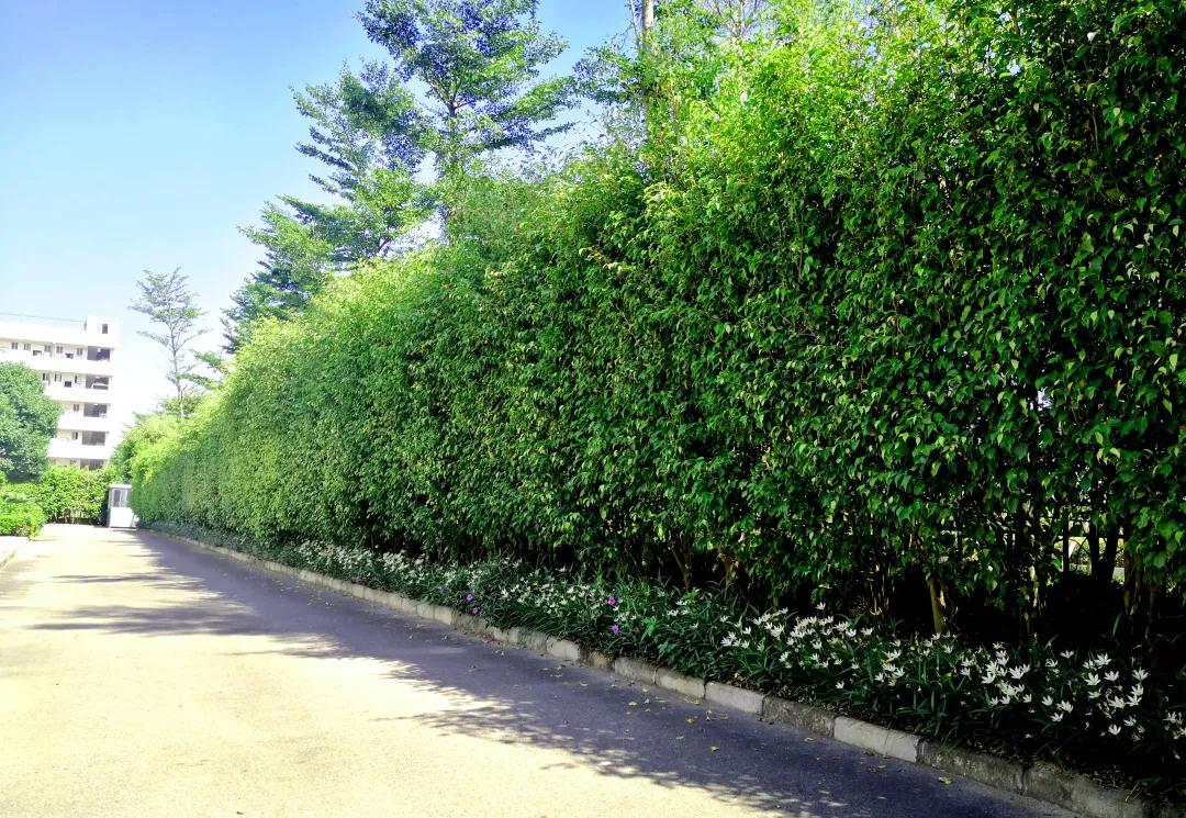 庄闲游戏·(中国游)官方网站