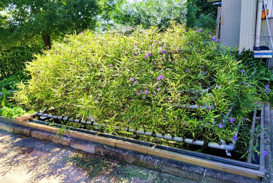 庄闲游戏·(中国游)官方网站