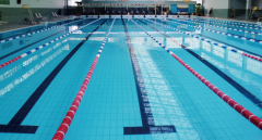 游泳池底怎么整理？？