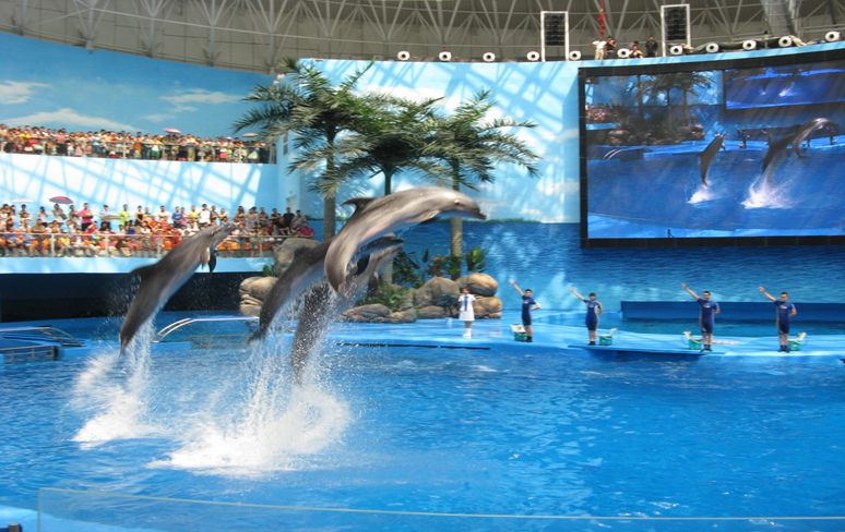 庄闲游戏·(中国游)官方网站