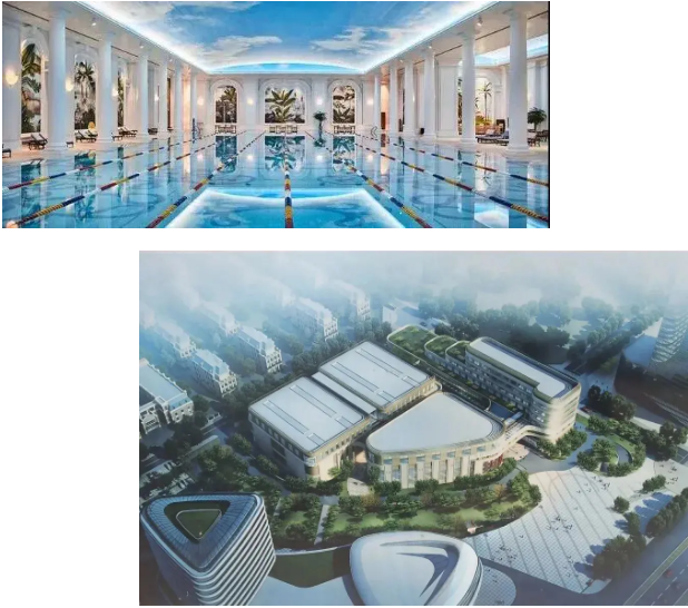 庄闲游戏泳池工程