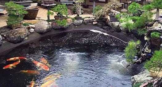 鱼池清水过滤系统,室外鱼池过滤系统