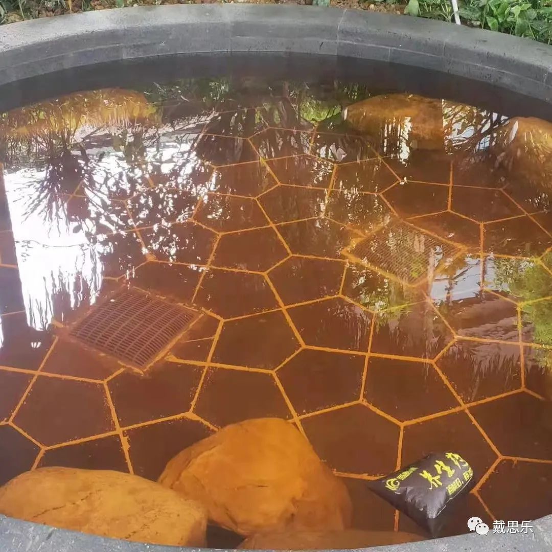 泡汤水处置惩罚