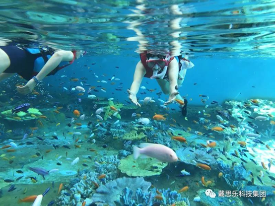 海洋浮潜馆，，，，，海洋馆装备