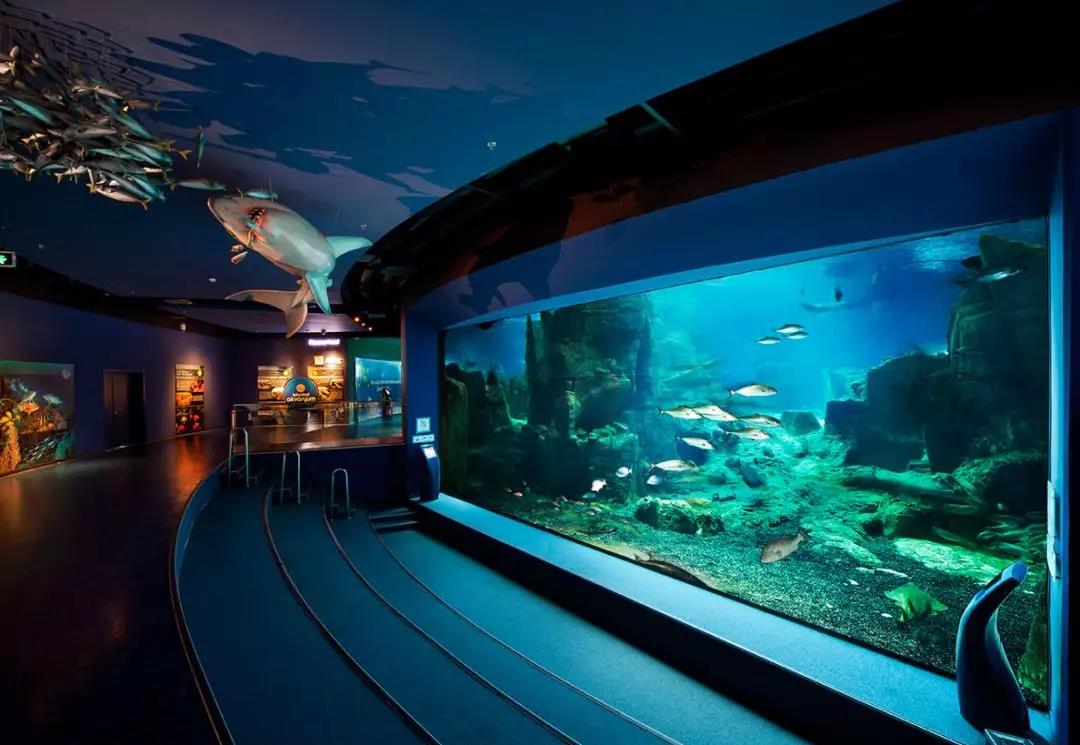 海洋馆水质处置惩罚公司哪家好？？