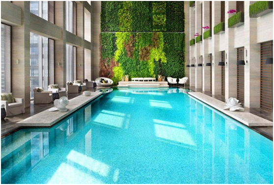 室内游泳馆水质处置惩罚