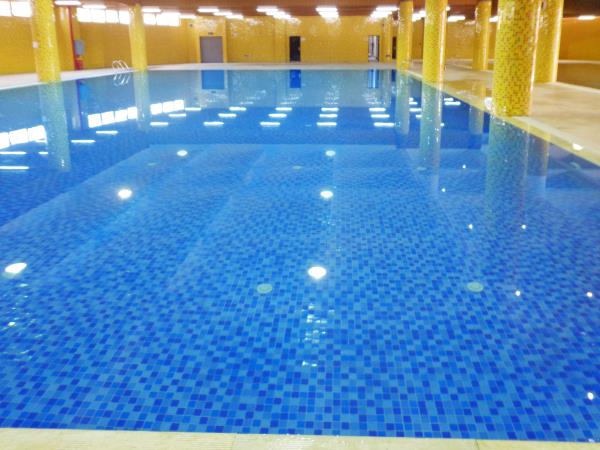 游泳池水净化有哪些好要领推荐？？