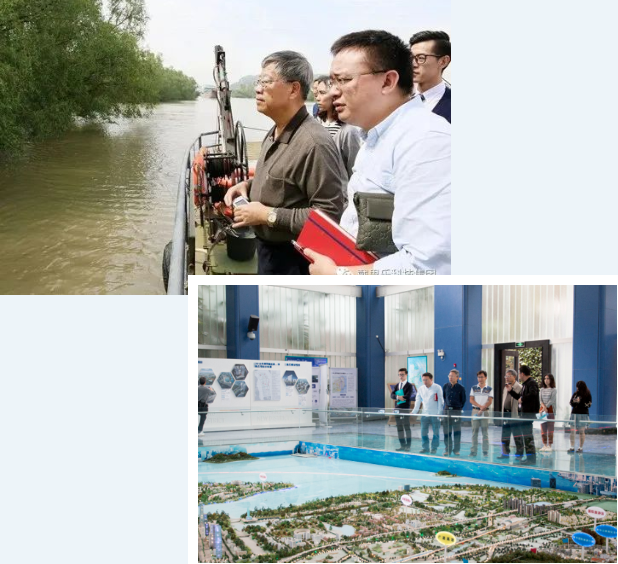 庄闲游戏湿地生态系统