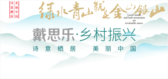 墟落振兴,墟落振兴战略