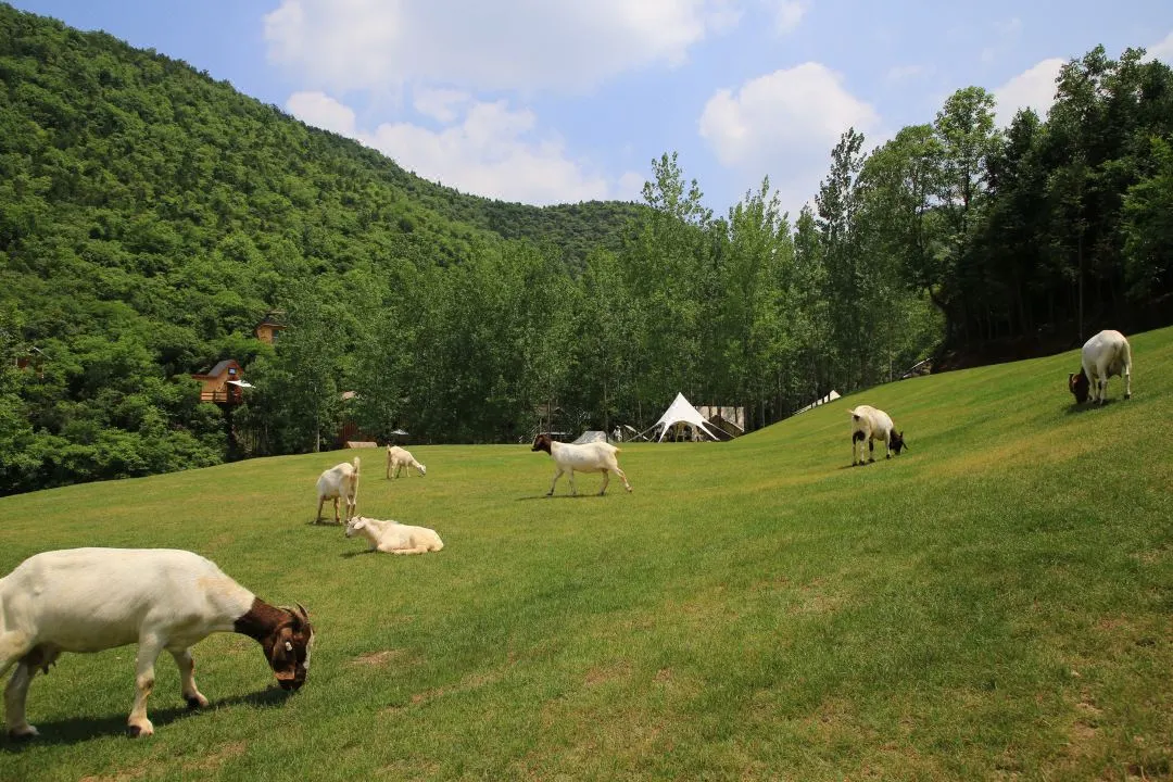 庄闲游戏·(中国游)官方网站
