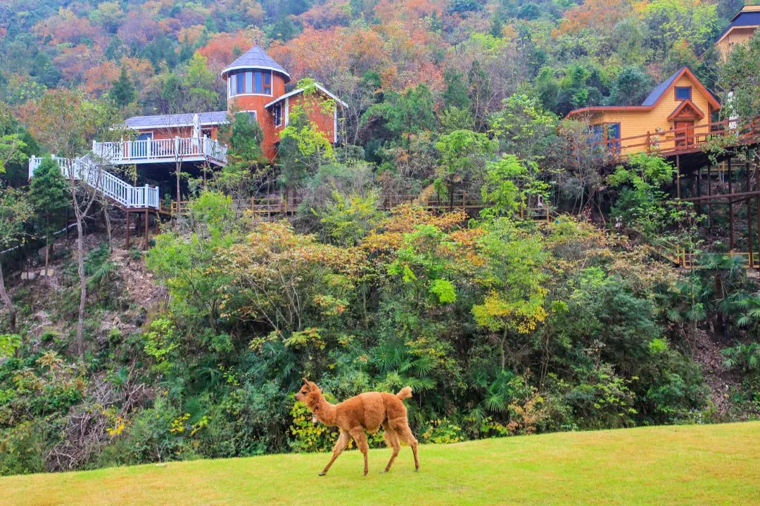 庄闲游戏·(中国游)官方网站