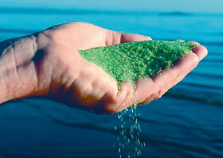 低氯水处置惩罚系统,低氯水处置惩罚系统刷新,游泳池刷新低氯升级