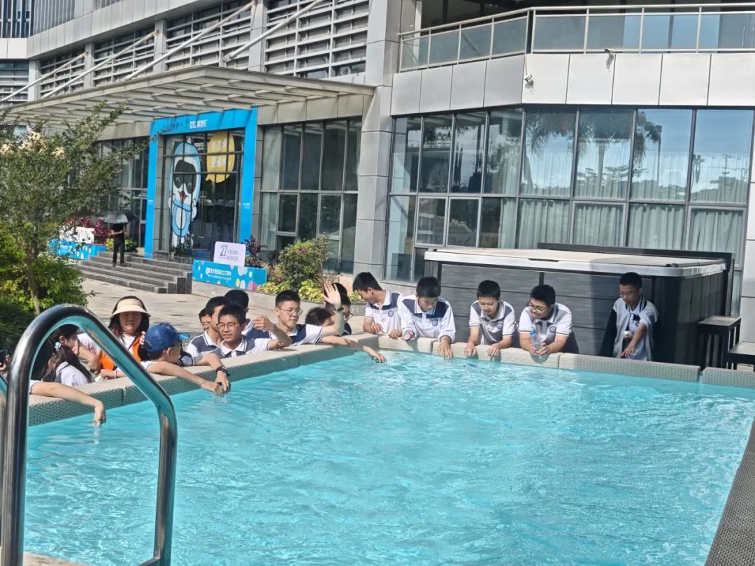 庄闲游戏集团,庄闲游戏