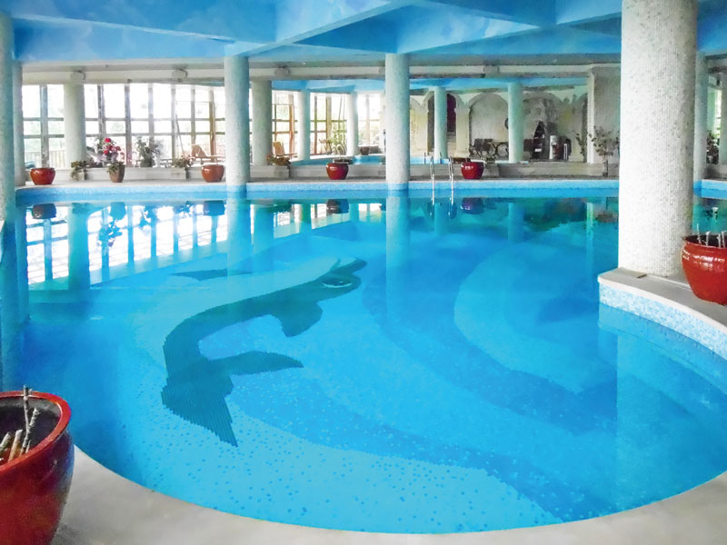 游泳池水变绿又污浊是什么缘故原由？？一文看懂解决思绪