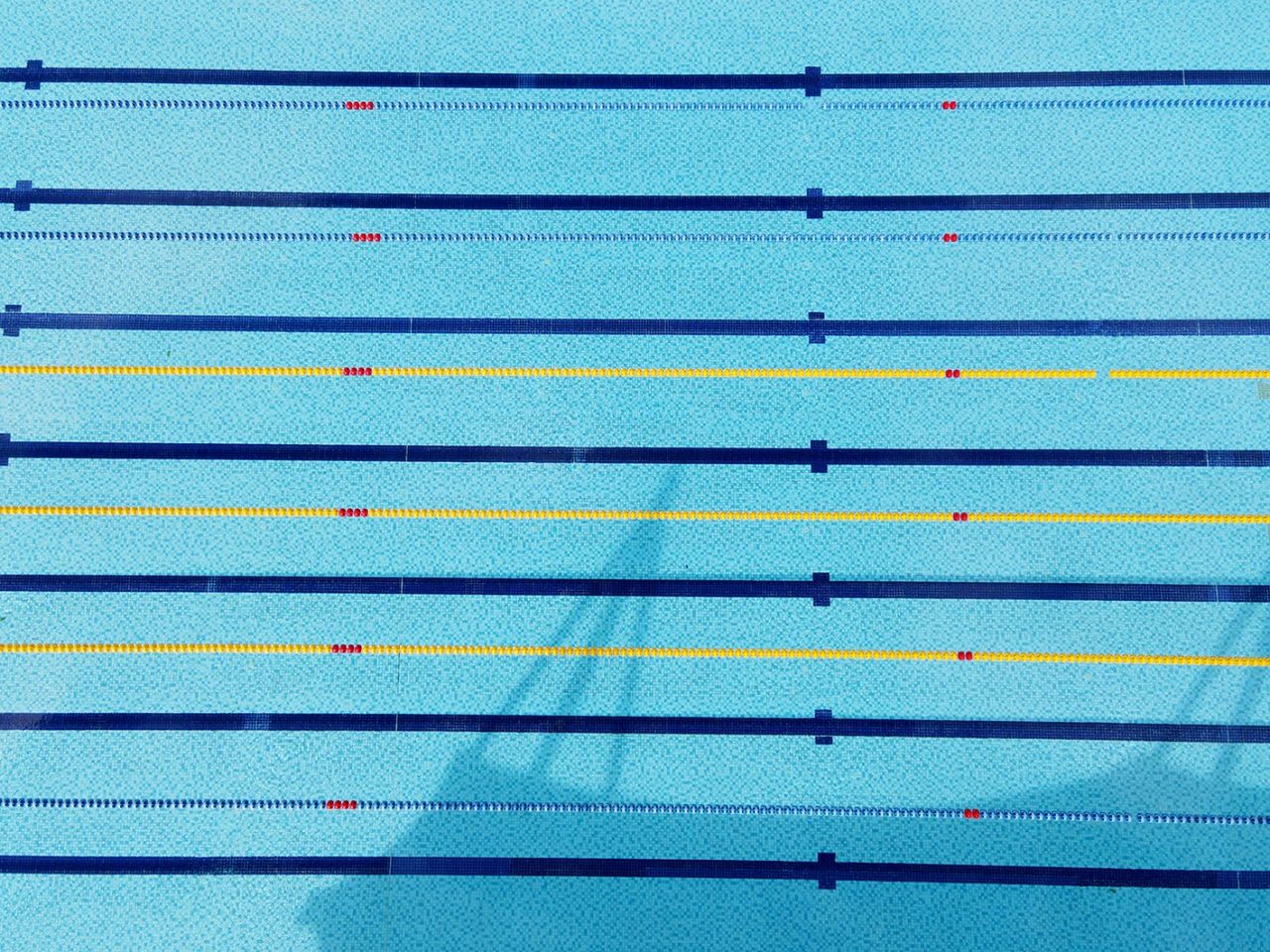 <b>泳池水处置惩罚药剂招商，，，热门商机诚邀加盟！</b>