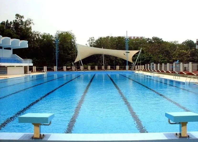 游泳池长藻难整理,游泳池长藻,游泳池水质发绿