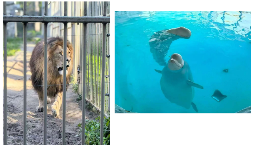 庄闲游戏·(中国游)官方网站