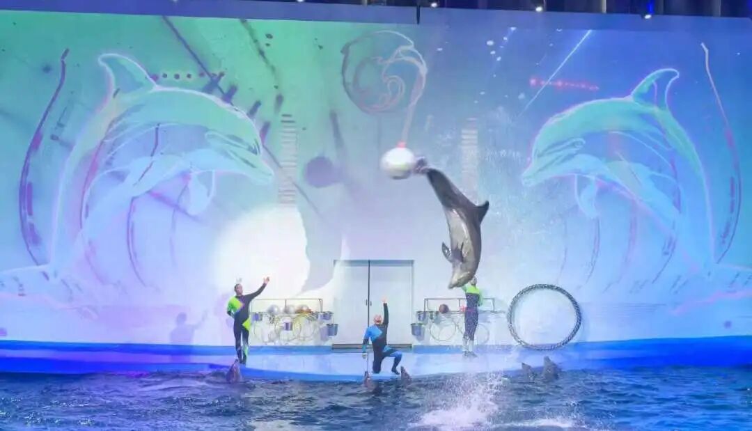 庄闲游戏·(中国游)官方网站