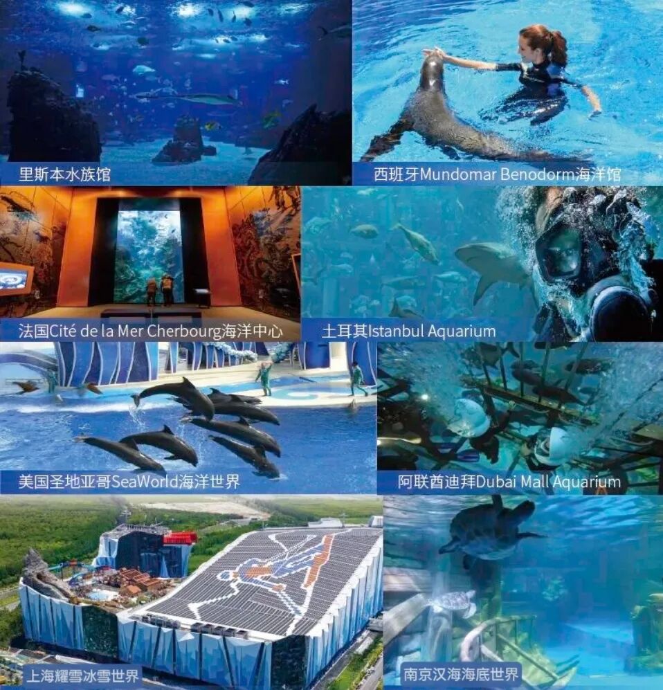 庄闲游戏·(中国游)官方网站