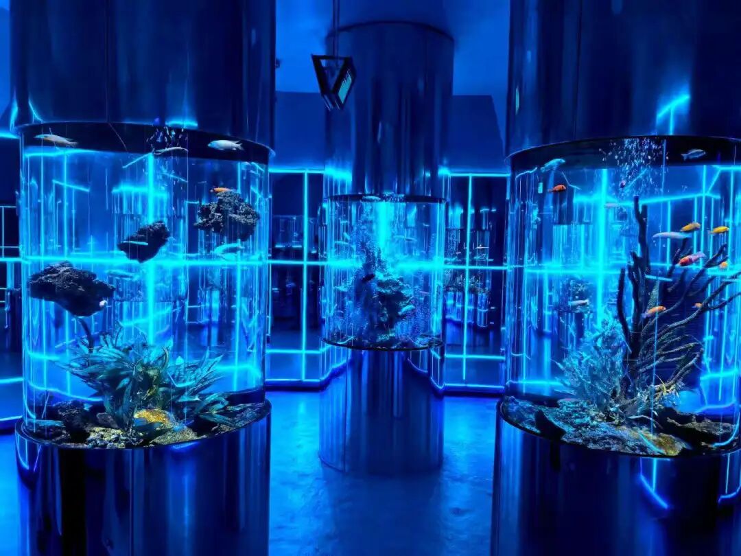 庄闲游戏·(中国游)官方网站